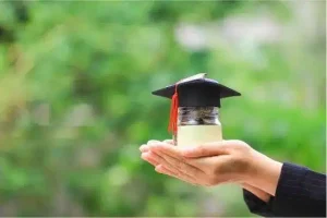 sir3.jpg 300x200 1.webp